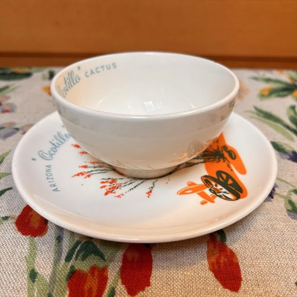 VTG Arizona Cactus Dinnerware Ocotillo Teacup Saucer Mid-Century Southwestern